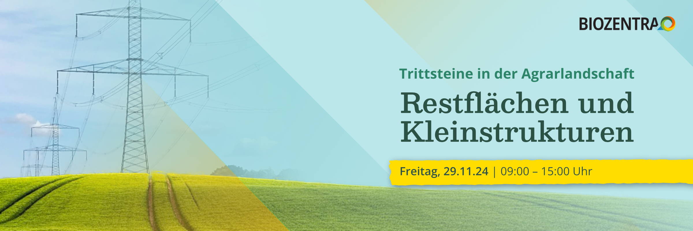 Feld mit Elektromast