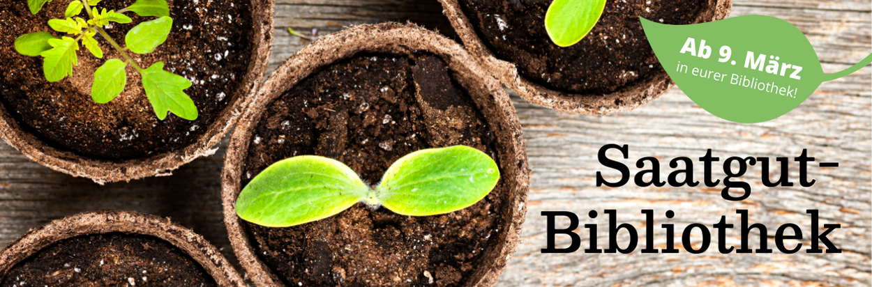 Saatgut Saatgut