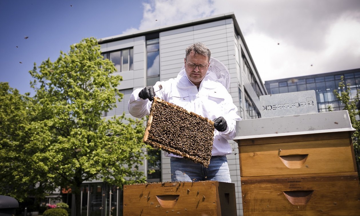 Nachhaltigkeit in der gebauten Umwelt