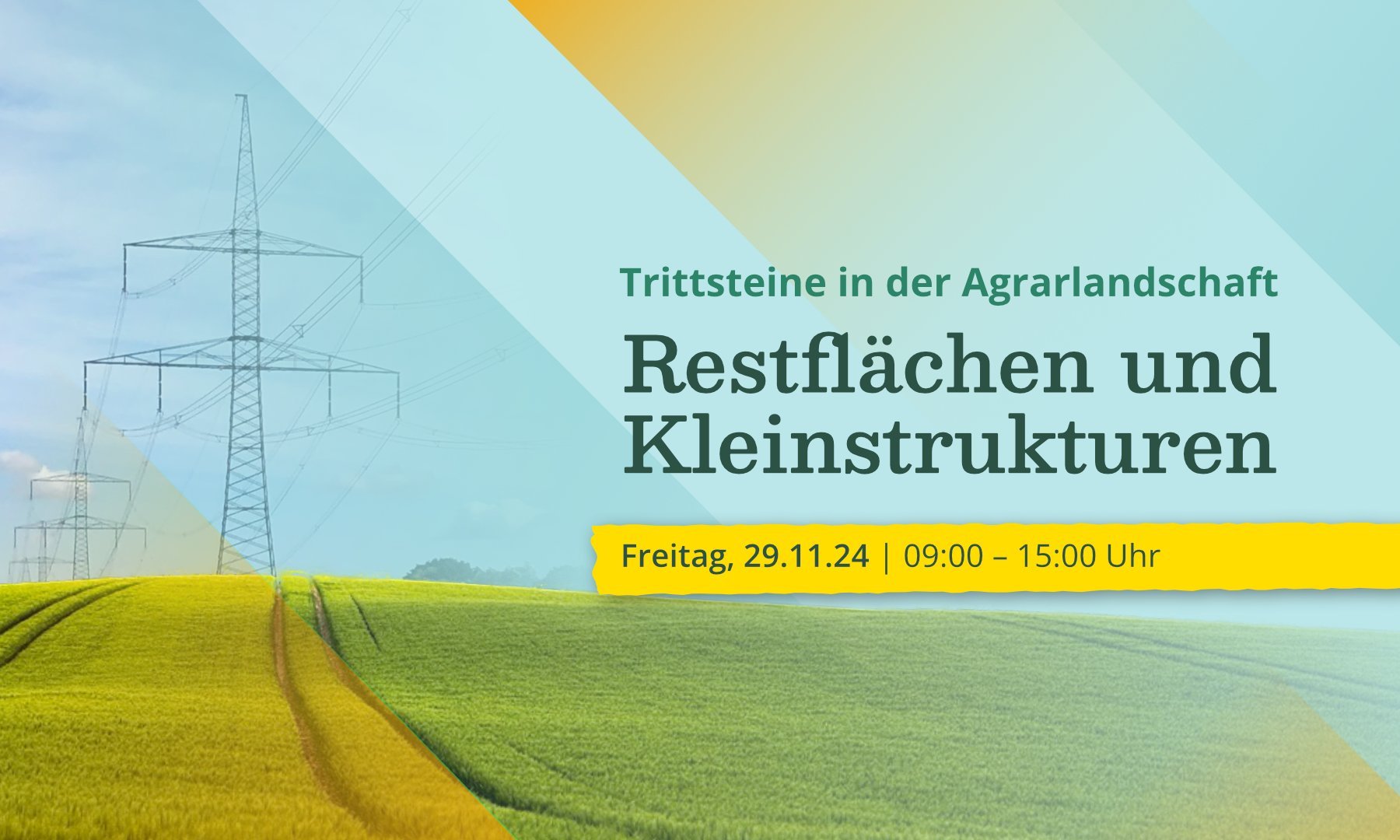 Restflächen und Kleinstrukturen: Trittsteine in der Agrarlandschaft. Am 29. November 2024 von 9:00 - 15:00 Uhr.