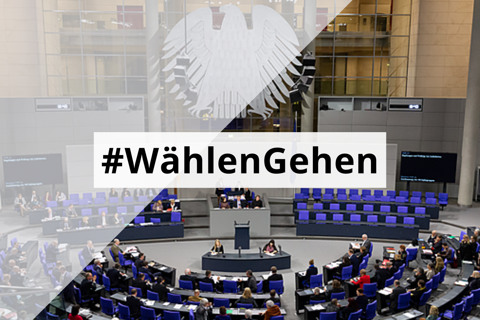 News Wahlen