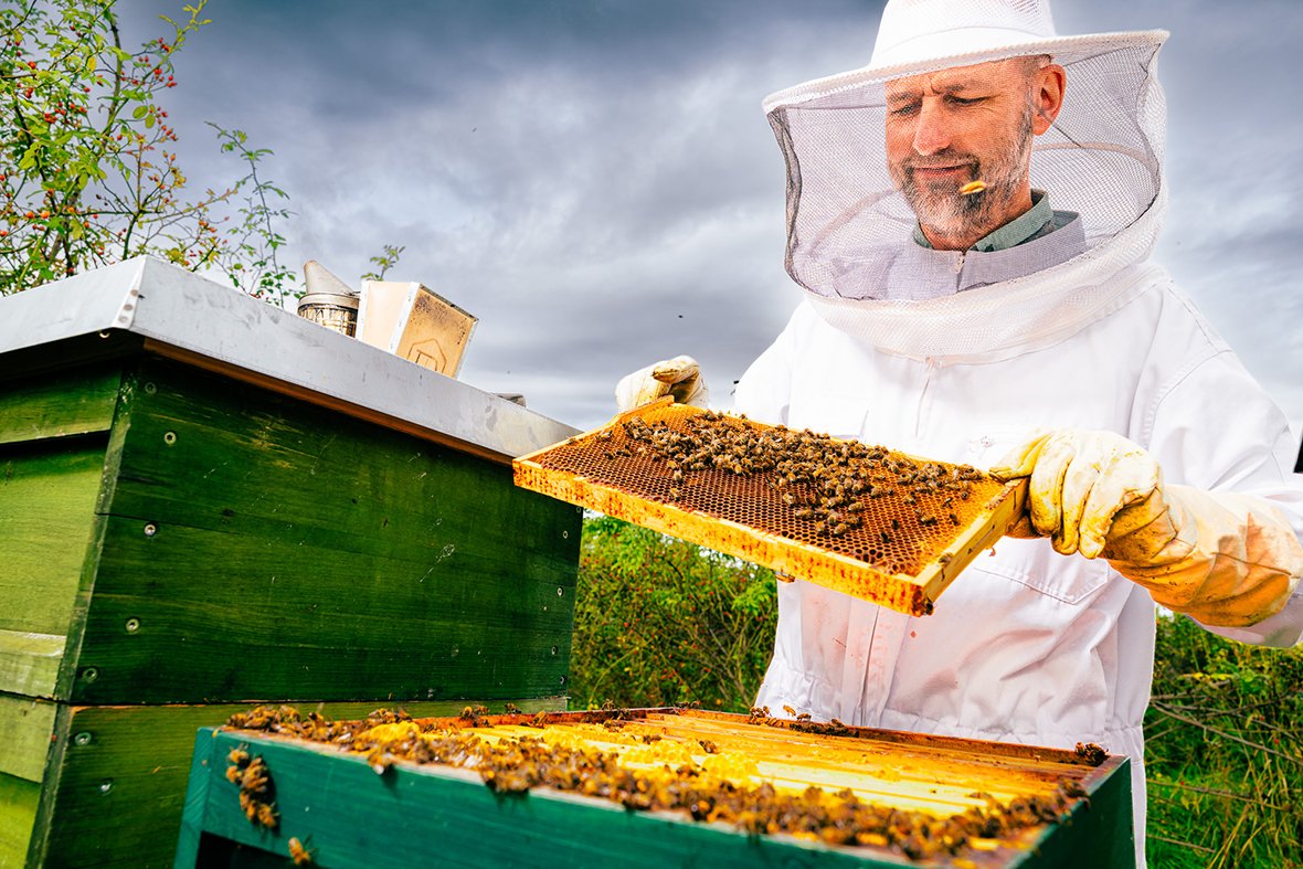 Mann mit Bienenschutz hält Bienenwabe